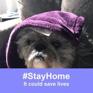 Meet your Posher, Linda